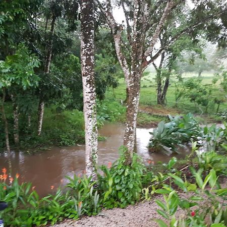 Auto Hotel Paraiso Inn Palenque Kültér fotó