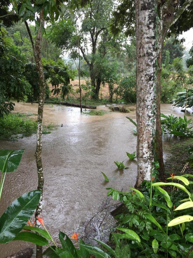 Auto Hotel Paraiso Inn Palenque Kültér fotó