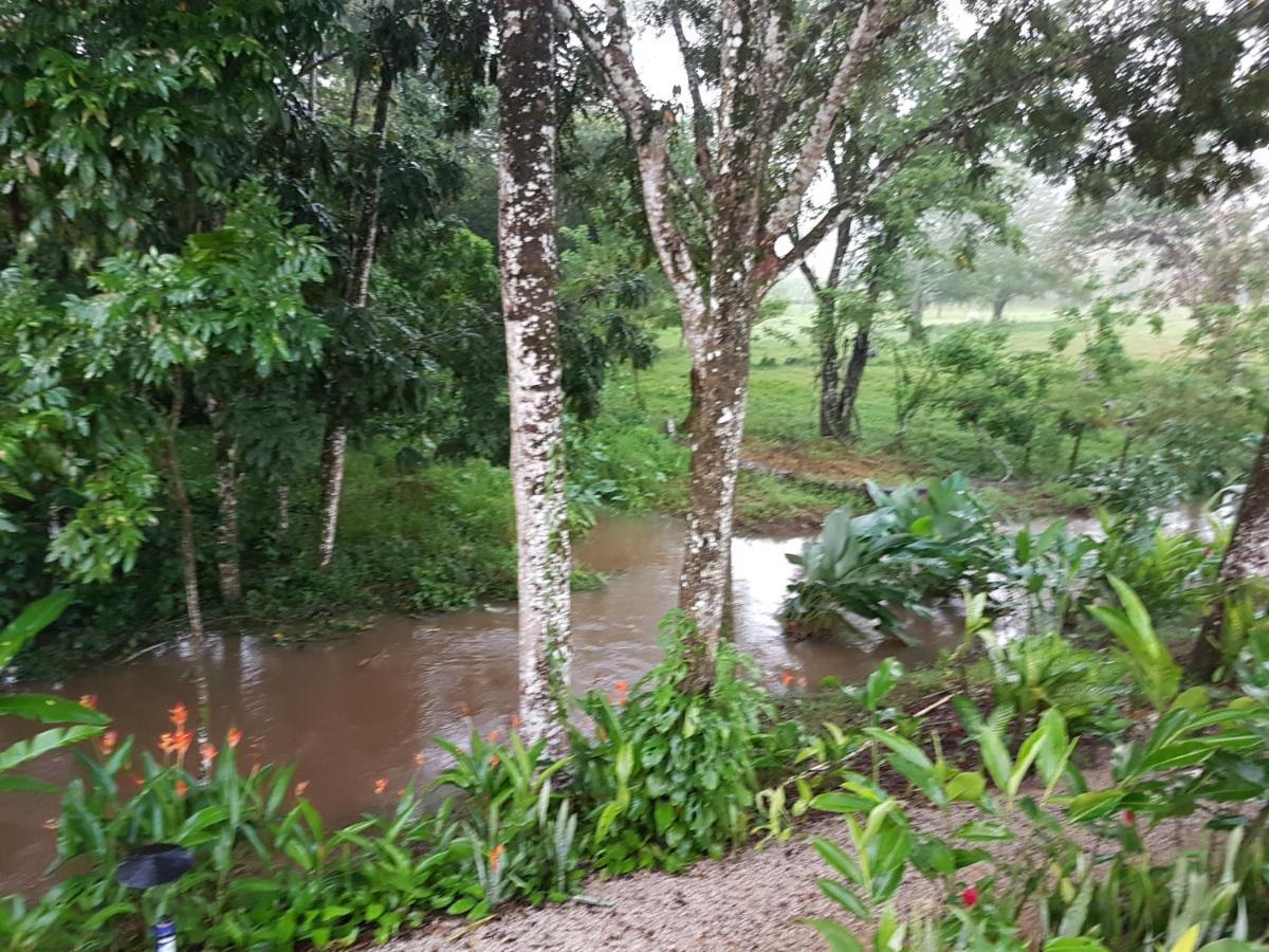 Auto Hotel Paraiso Inn Palenque Kültér fotó
